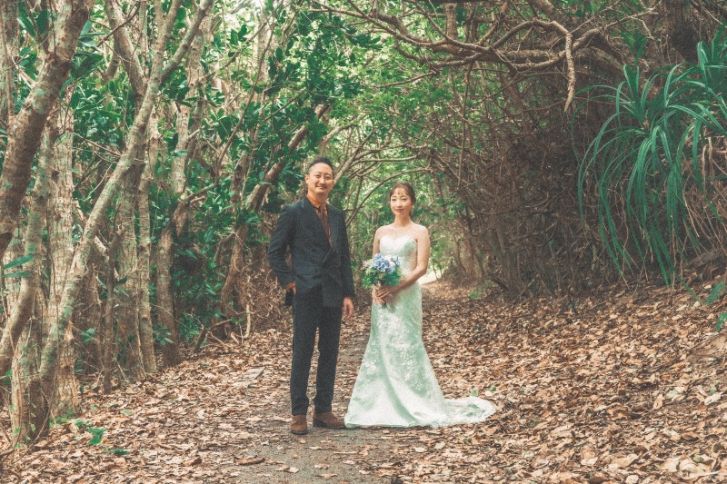 自然あふれるトンネル道