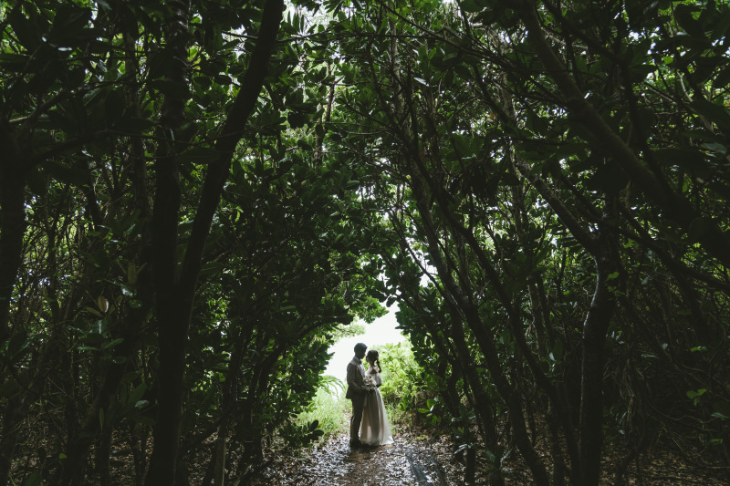 1つ1つが日常では見られない景色たち