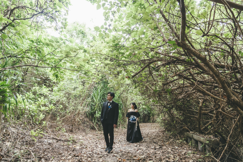 空から差す溢れ日が木々の間より美しい演出へ