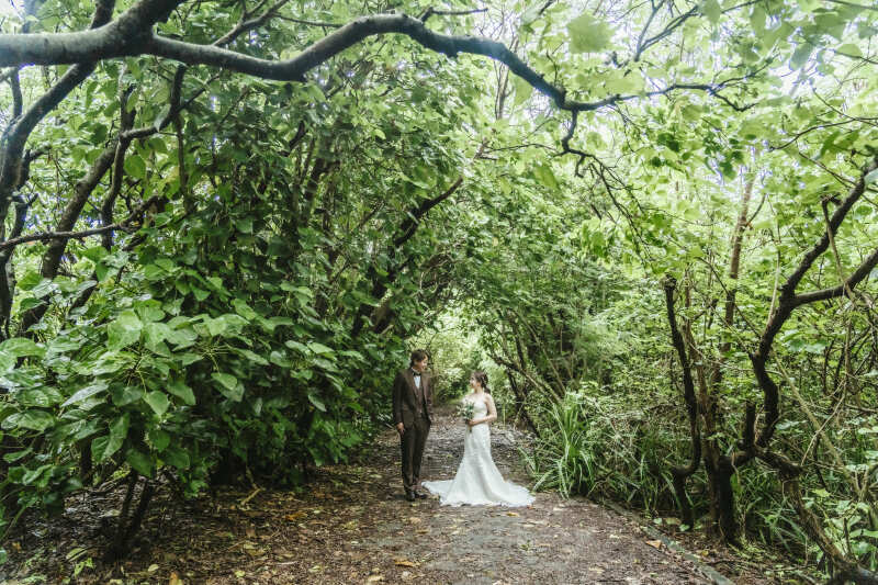 1つ1つが日常では見られない景色たち