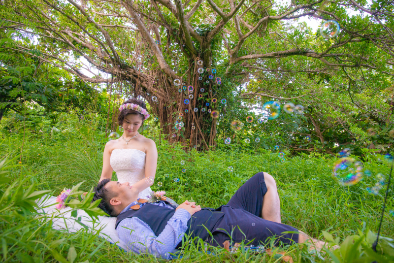 シャボン玉とガジュマル