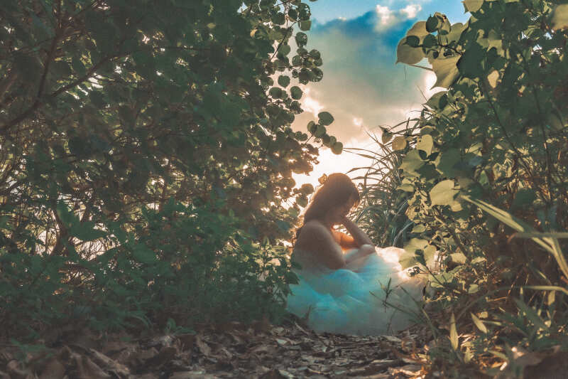 サンセットとグリーンが神秘的な景色を・・・