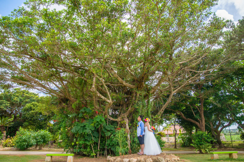 巨大樹と青空とお二人の綺麗なコントラスト☆