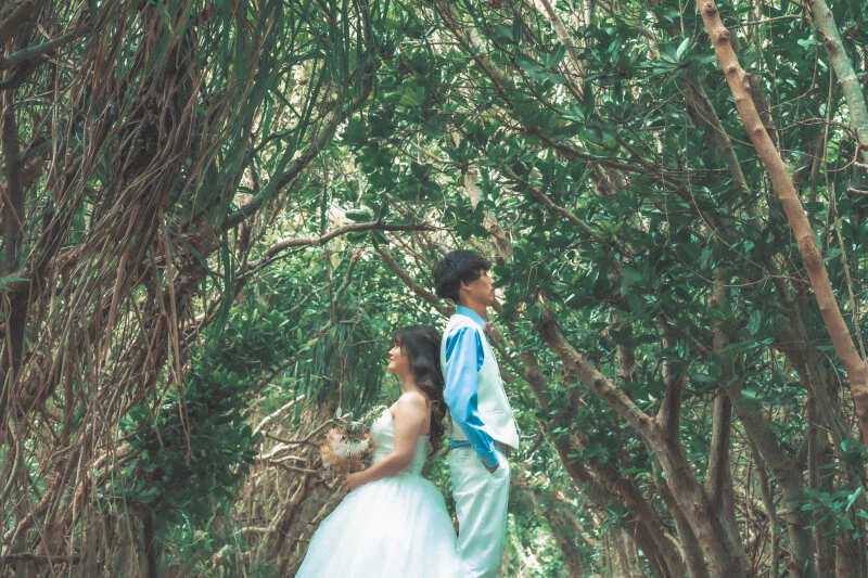 場所が変わって自然に包まれた森の中へと