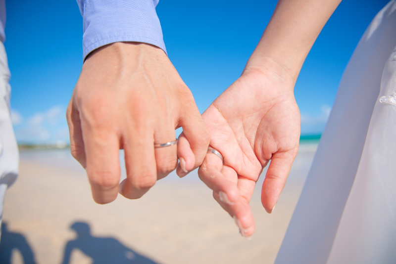 太陽に照らされて