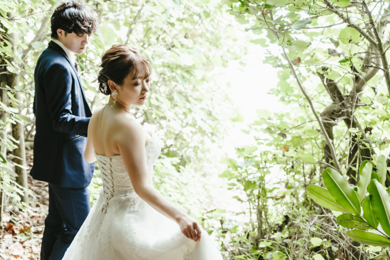 木々の間から差し込む光が森の中ならではの美しさ