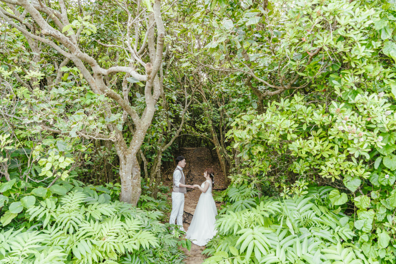 グリーンがまた新しい空間へといざなってくれる