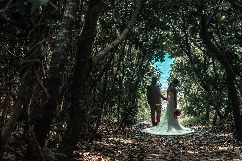 自然が作り上げる木々のアーチを抜けた先へと