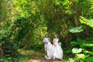 グリーン撮影追加(20カット)