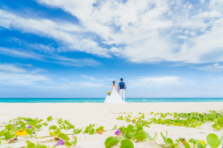 撮影200カット追加