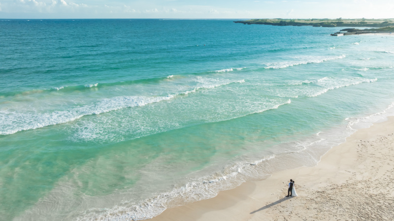 step1 事前来店・お問合せ