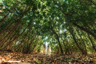 capryフォトウェディング宮古島（キャプリィフォトウェディング宮古島）_⚫︎グリーンフォト 〜Green〜