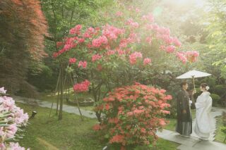 洋装1点和装1点フォトプラン