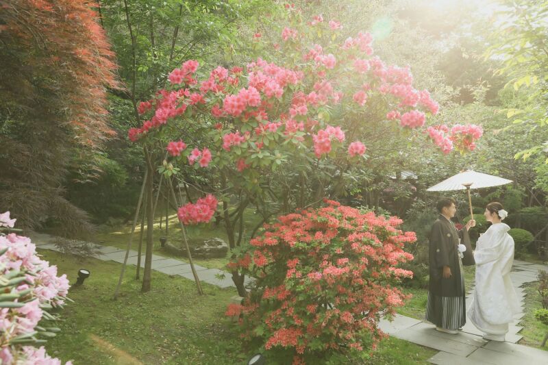 洋装1点和装1点フォトプラン