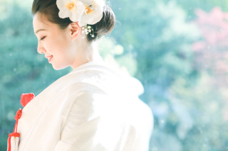 撮影データ追加(1スポット20カット)