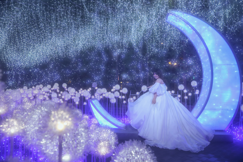 Photo Studio Lily_人気スポットで撮影できる