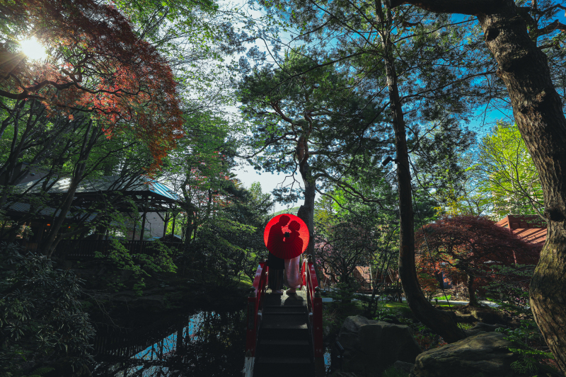 Photo Studio Lily_庭園で撮影できる