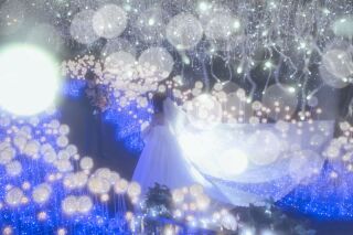 Photo Studio Lily_冬・イルミネーション
