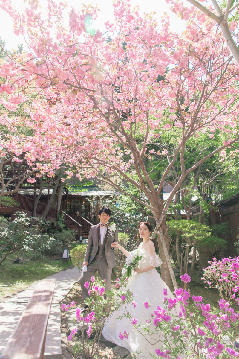 Shiori Onoderaの作品