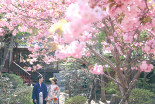 春期間限定【4月～5月】 ≪春の和装1点ロケーションプラン≫ ＊桜の時期が大変込み合います！