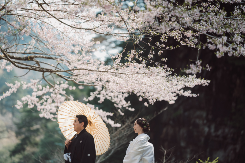 桜も祝福を。