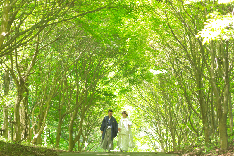 木のトンネル
