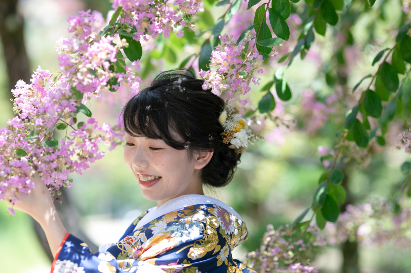 ピンクの花「サルスベリ」