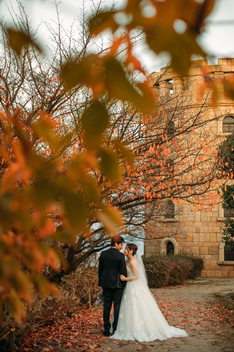 秋色に染まった木々