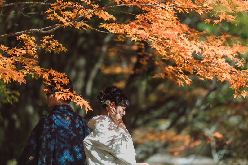 紅葉と