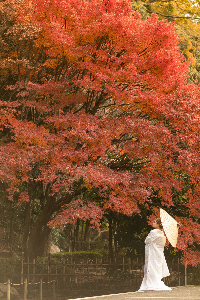 紅葉