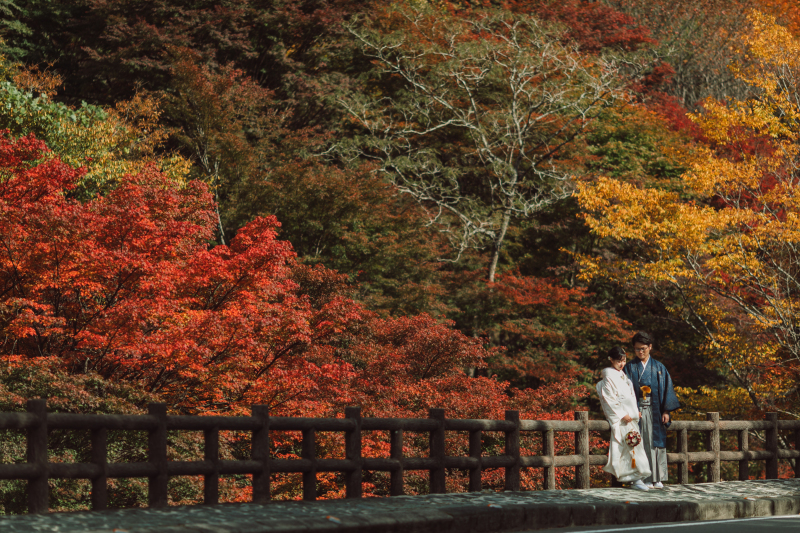 紅葉