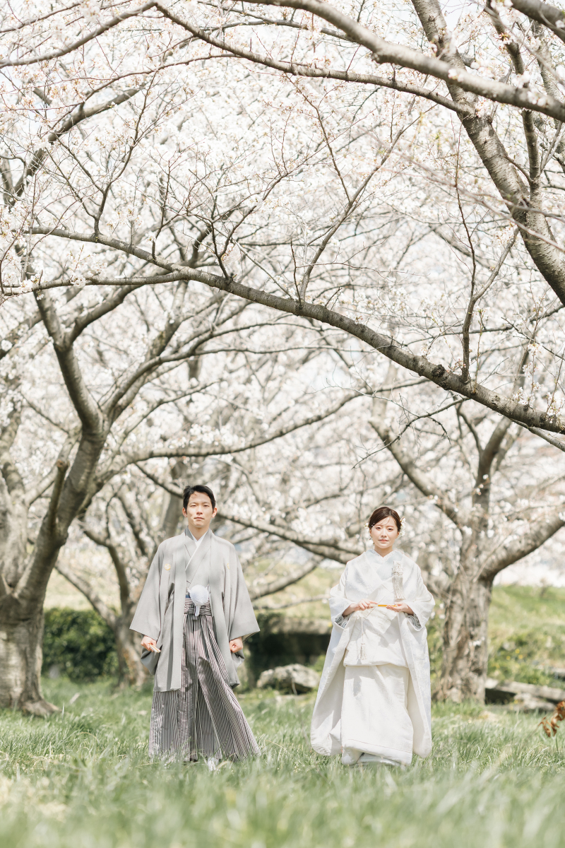 春の花