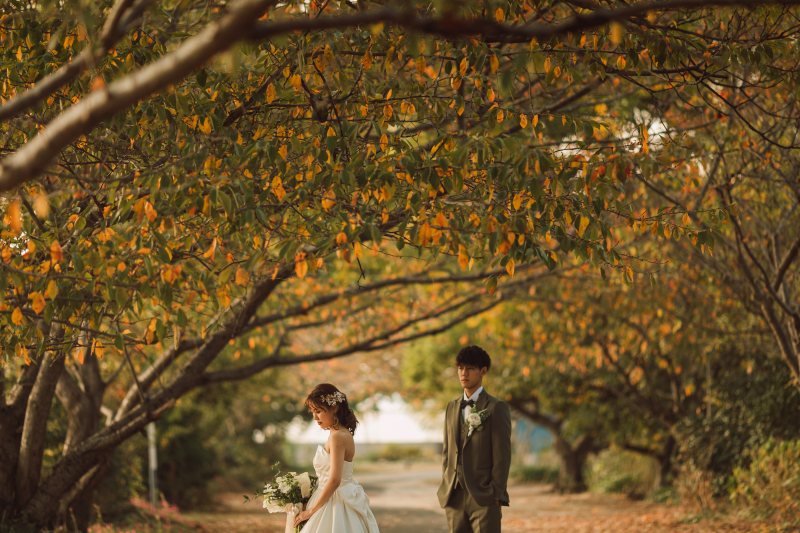 紅葉