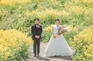 黄色い世界に包まれて