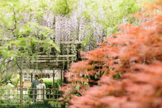 風情ある庭園で