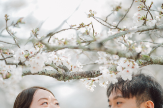 ラヴィファクトリー松山店_道後周辺フォト・二之丸史跡庭園フォト