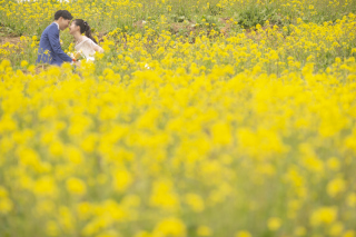 ラヴィファクトリー松山店_ピックアップロケーションフォト