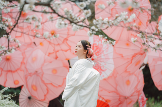 ラヴィファクトリー松山店_道後周辺フォト・二之丸史跡庭園フォト