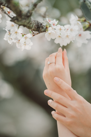 ラヴィファクトリー松山店_道後周辺フォト・二之丸史跡庭園フォト