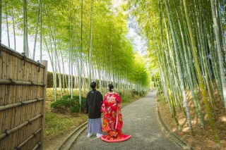 12月中旬の花田苑