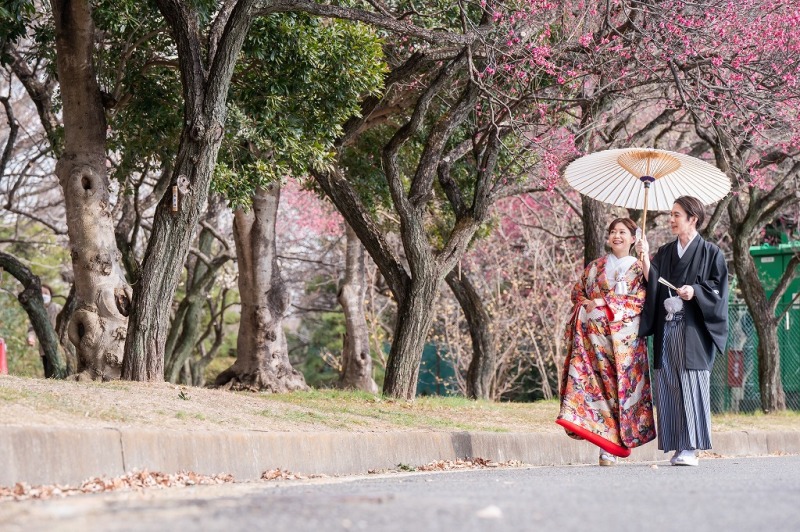 大宮第二公園　梅レポートスタート！