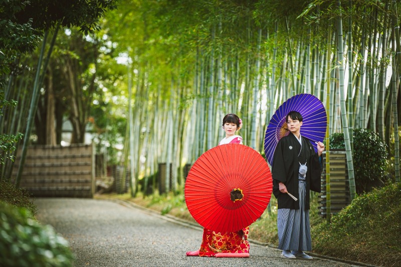 花田苑の竹林