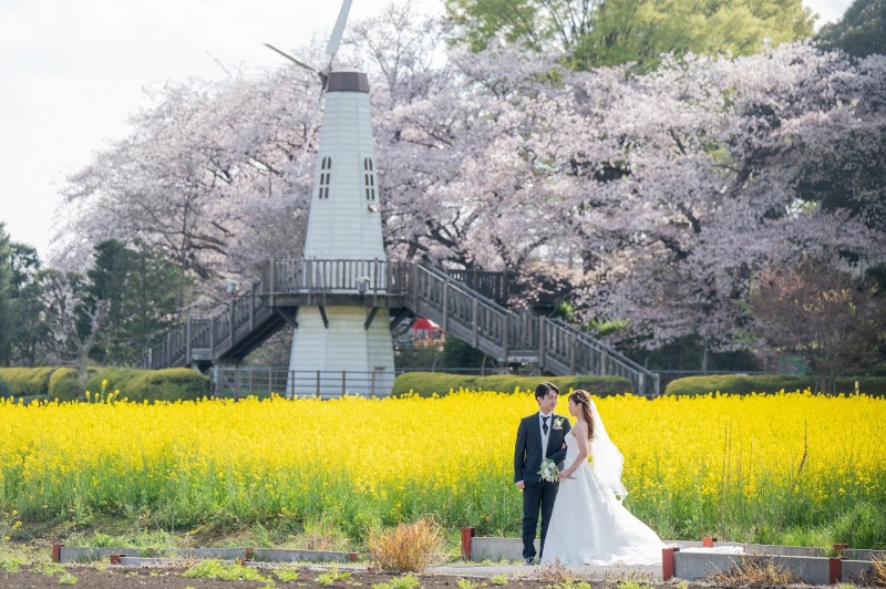 菜の花も一緒に撮影!