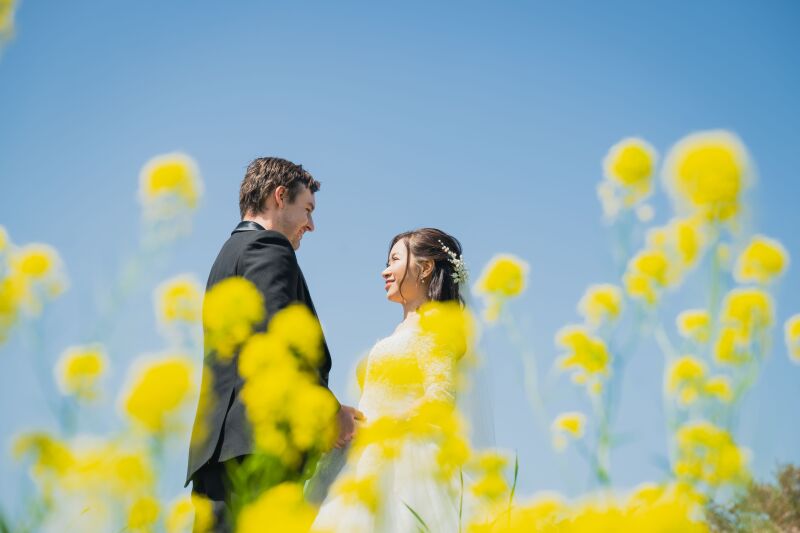 菜の花