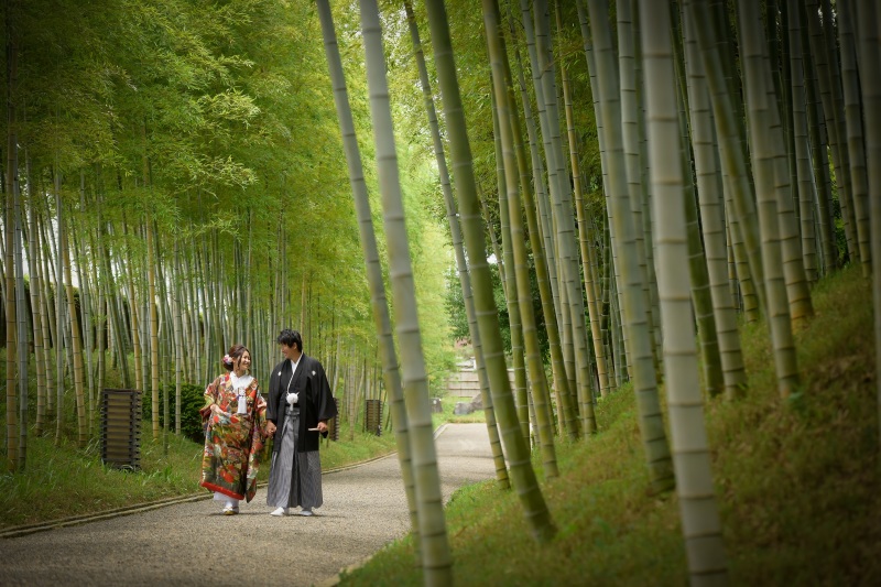 竹林の中の小道