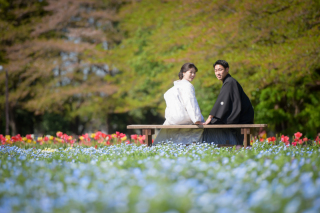 ネモフィラの綺麗な花が咲く公園
