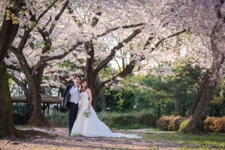市民の森の桜で洋装撮影♪