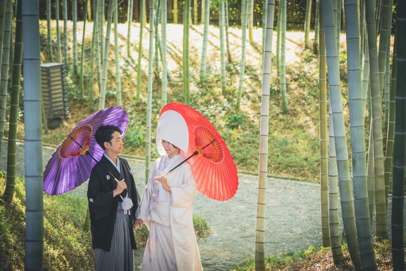 花田苑撮影スタート♫