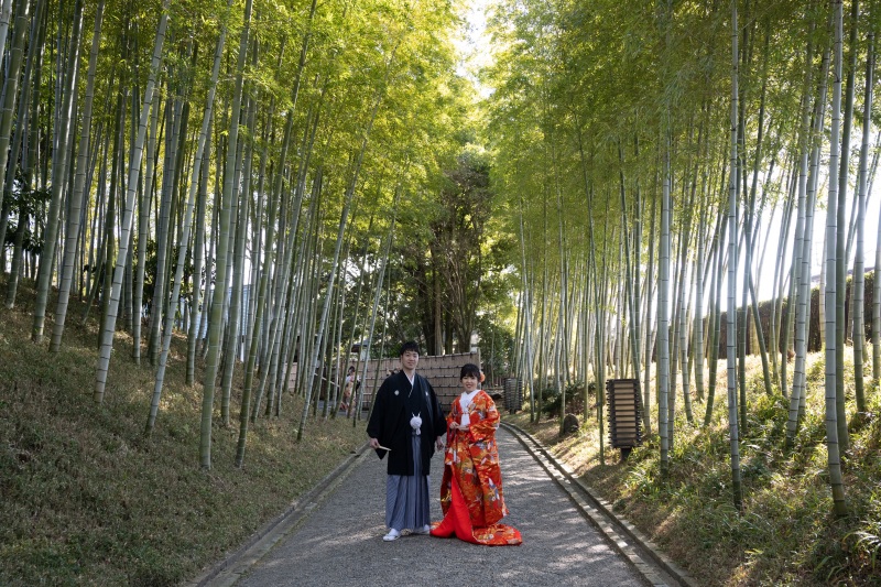 竹林