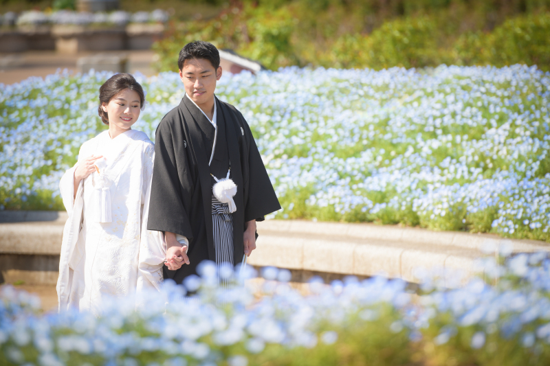 四季折々の花が咲く花の丘農林公苑での撮影